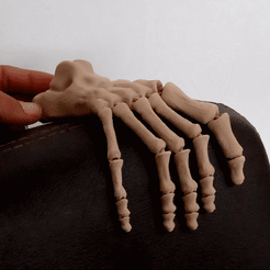 GIF02.gif Archivo 3D PIE ESQUELETO FLEXIBLE, flexible skeleton foot・Modelo para descargar e imprimir en 3D