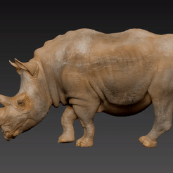 rhino_cult.gif Fichier STL rhinocéros une pièce・Plan pour impression 3D à télécharger