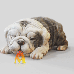 SleepyBabyBully.gif Fichier STL Bébé mignon qui dort - Fichier VRML couleur à imprimer - Race de chien - Modèle à imprimer en 3D・Plan imprimable en 3D à télécharger
