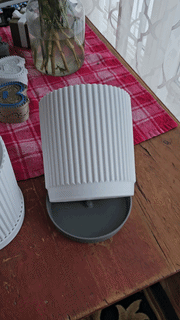 Flower pot with overflow tray