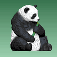 panda.gif Panda Bear