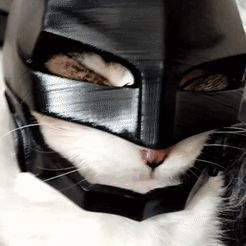 BatCat.gif 3D file BATMAN Cat Helmet・Template to download and 3D print