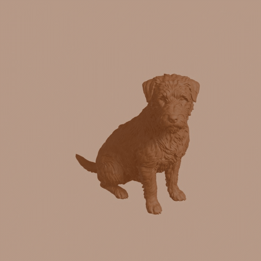 Glen of Imaal Terrier Dog in Sitting Pose