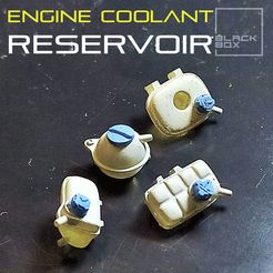 0.gif Файл 3D Engine Coolant Reservoir Set 3 types 1-24th・Модель 3D-принтера для загрузки, BlackBox