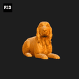 330-Bracco_Italiano_Pose_09.gif Bracco Italiano Dog 3D Print Model Pose 09