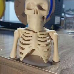 Skeleton Backflow Incense Burner