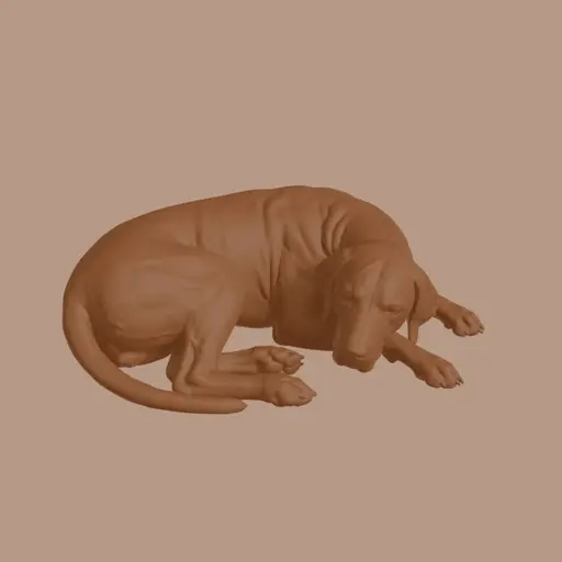 Sleeping Old Danish Pointer Dog Figurine