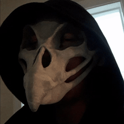 Deadbirdmask.gif STL file Deadbird・3D printer model to download