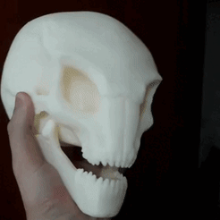 video5111702829672694448-1.gif STL-Datei Sectoid Alien Skull XCOM 2 Inspired・Design zum Herunterladen und 3D-Drucken