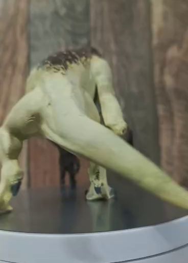 VID-20250725-WA0003.mp4 Distortus Rex