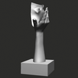 turntable040.gif Half Faced Female Bust