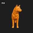 056-Australian_Cattle_Dog_Pose_02.gif Australian Cattle Dog 3D Print Model Pose 02