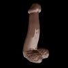 V5-look-out.gif Download STL file Dildo - Look out for smooth fat dick • 3D printing object, Lammesky_Designs