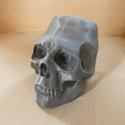 animiertes-gif-von-online-umwandeln-de-6.gif Skull and crossbones lid for SATA paint bucket 600ml