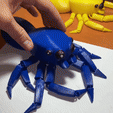 IMG_9752.gif Aranha Flexi