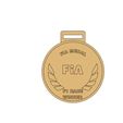 Medaille-FIA.gif FIA medal