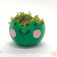 ezgif-4-327fff8cc2.gif Cute Frog Flower Pot