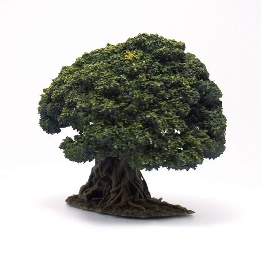 Tree_5_col_full_square_layout_turntable.mp4 3D-gescannter knorriger Baum mit abnehmbarer Baumkrone