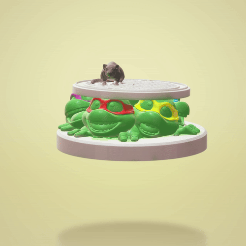 Teenage Mutant Ninja Turtles