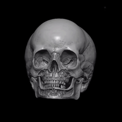 gify.gif Fichier STL Dents de crâne pour enfants・Objet pour imprimante 3D à télécharger