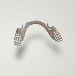 Partial-inferior.gif Fichier STL Dental Partial-inferior・Design pour imprimante 3D à télécharger, lablexter