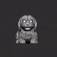 WhatsAppVideo2024-02-16at14.50.56-ezgif.com-video-to-gif-converter.gif Perro Maltes / Maltese Dog
