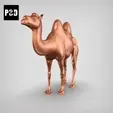 gif.gif bactrian camel pose 01