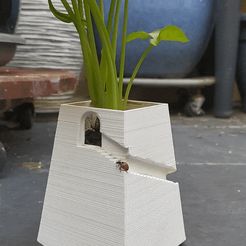 gif-1.gif STL file Flower pot adapted to insects・Design to download and 3D print, Neylips