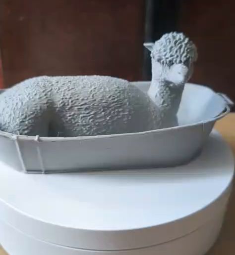 WhatsApp-Video-2026-01-02-at-11.18.08.mp4 Alpaca en la bañera