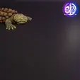 premier-2.gif FLEXI SNAPPING TURTLE
