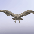 01.gif Flying Eagle - Low Poly