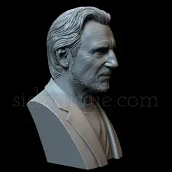 LiamNeeson.gif 3D file Liam Neeson・Model to download and 3D print