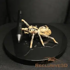 jumpingSpiderPenStand_gif.gif Jumping Spider Pen Stand