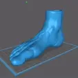 animation_Anatomy-Foot_v02-Moad-STL.gif Foot Vase Vase - Foot Penholder - Pies Pies Macetero - Anatomical Sculpture