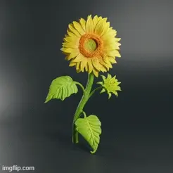 876vpy.gif Sunflower