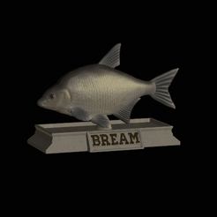Bream-model.gif STL file fish bream statue detailed texture for 3d printing・3D printer design to download