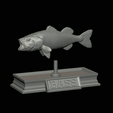 Bass-mount-statue-6.gif fish Largemouth Bass / Micropterus salmoides open mouth statue detailed texture for 3d printing