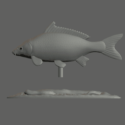carp-podstavec-high-quality-1-2.gif 3D file big carp underwater statue detailed texture for 3d printing・Design to download and 3D print, ARTMANS