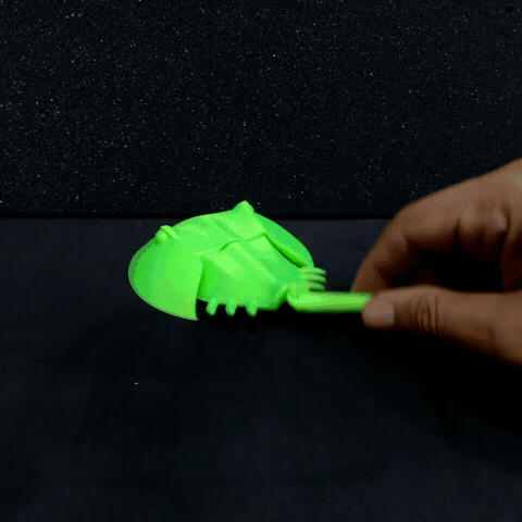 flexi print   horseshoe crab bad - 3D model önizlemesi
