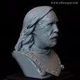 Sandor.gif Sandor Clegane aka The Hound from Game of Thrones - 3d print model, bust, portrait