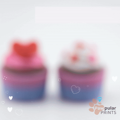 Pastry Paradox Multi-Pack