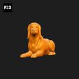 152-Bavarian_Mountain_Hound_Pose_08.gif Bavarian Mountain Hound Dog 3D Print Model Pose 08