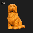 524-Coton_De_Tulear_Pose_05.gif Coton De Tulear Dog 3D Print Model Pose 05