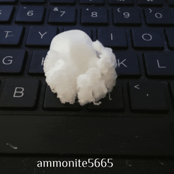 Articulated-mini-Octo-gif.gif Download STL file Articulated mini Octopus • 3D print model, ammonite5665