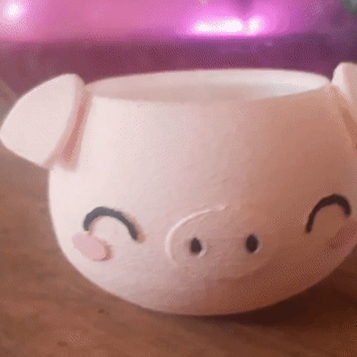 CUTE PIG VASE PLANTER (vaso porquinho) 3D model