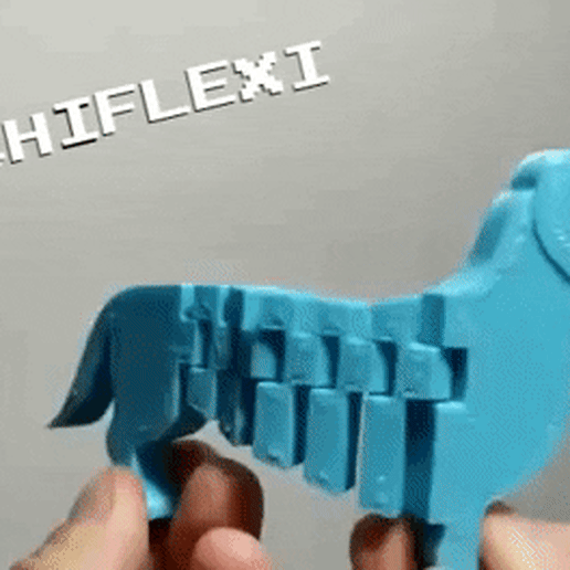 SALCHIFLEXI 3D model