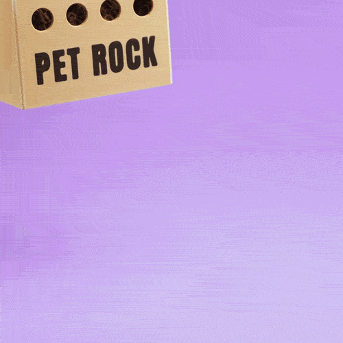 Blob Rocks - Mini Rock Blind Box Collectible Art Toy