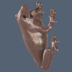 Grenouille-Murale.gif STL file Frog-shaped wall pot・3D print object to download