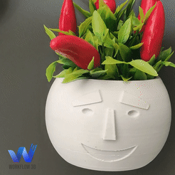 Vaso-015-GIF.gif Fichier STL Vase décoratif d'émoticônes pour réfrigérateur avec aimant・Modèle pour imprimante 3D à télécharger, GuilhermeKB