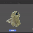 Golden-Retriever.gif Golden Retriever